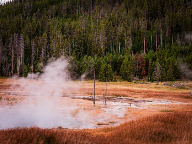 kierunek yellowstone - idaho beautiful western usa usa zdjęcia i obrazy z banku zdjęć