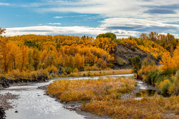 istock A drive through Foothills County Alberta Canada 1750375017
