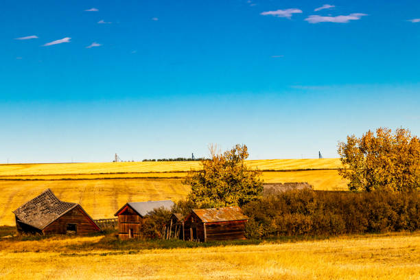istock Rustic farm out buildings. Kneehill County, Alberta, Canada 1750381497