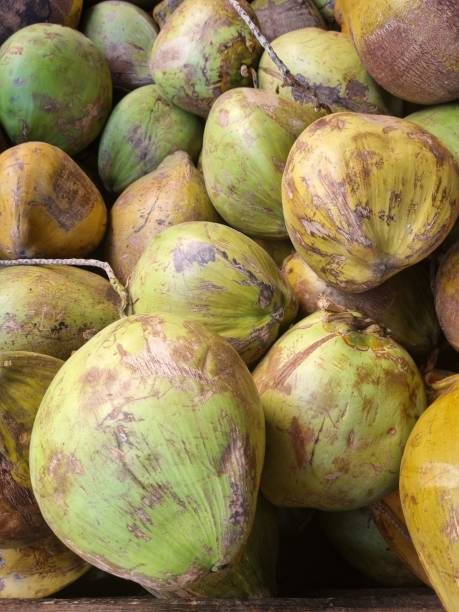istock A pile of green and yellow coconuts 1750401104