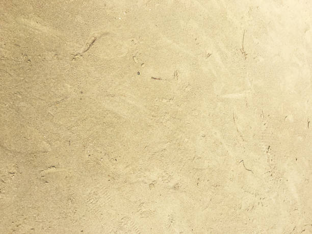 istock Close-up Shot. Yellow beach sand texture as background 1750403381