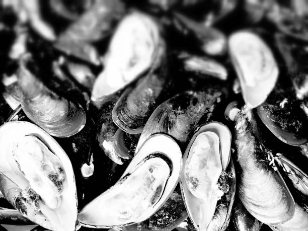 Asian green mussel in seafood market