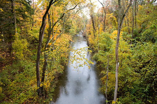 Mountain stream in rural New York State on an overcast rainy day.