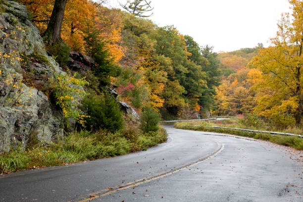 istock Road curve on country road 1750425039