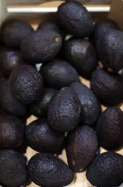 istock ripe avocado in the market 1750428661