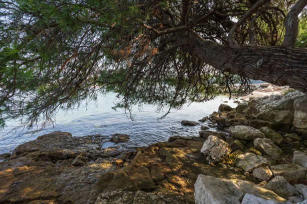 Beautiful beaches of Croatia