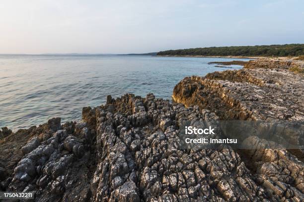 Wild Beach Near Rovinj Stock Photo - Download Image Now - Adriatic Sea, Bay of Water, Beach