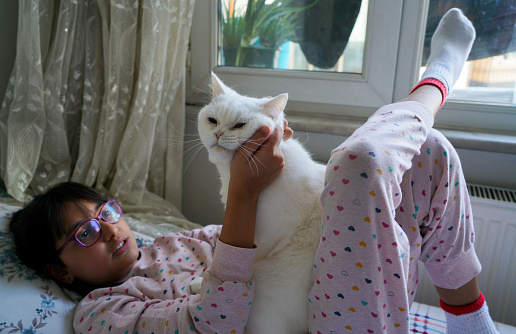 Little girl embrace white kitten