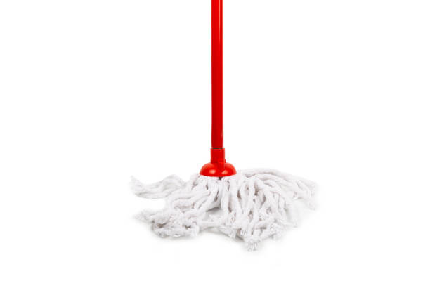 istock Plastic mop with adjustable handle, isolated on white background. Mop for cleaning the floor. Cleaning concept. Cleaning the premises. 1750440047