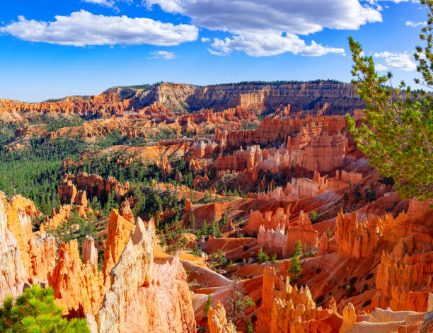 Bryce Canyon National Park Hoodoos in Bryce Canyon National Park, Utah bryce canyon national park stock pictures, royalty-free photos & images