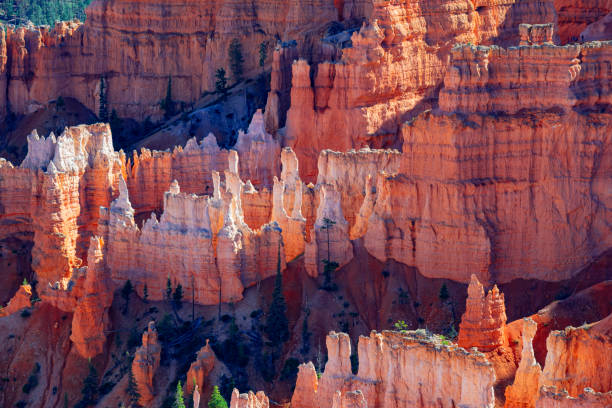 Hoodoos in Bryce Canyon National Park, Utah