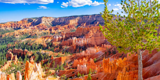 istock Bryce Canyon National Park 1750444079
