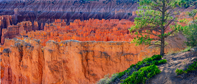 Hoodoos in Bryce Canyon National Park, Utah