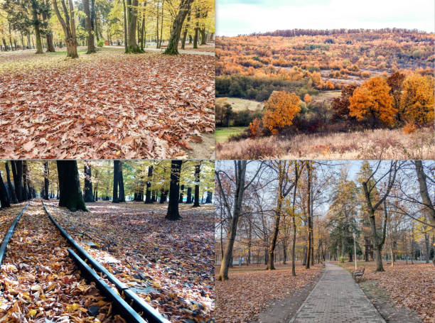 istock Collage with various autumn images 1750459693
