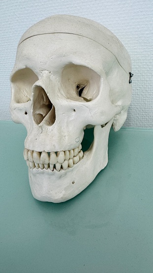 Skull and crossbones isolated on black