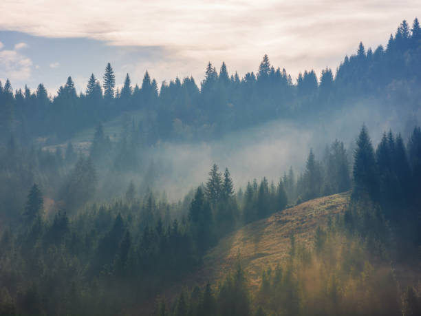 istock autumnal weather nature background 1750488933