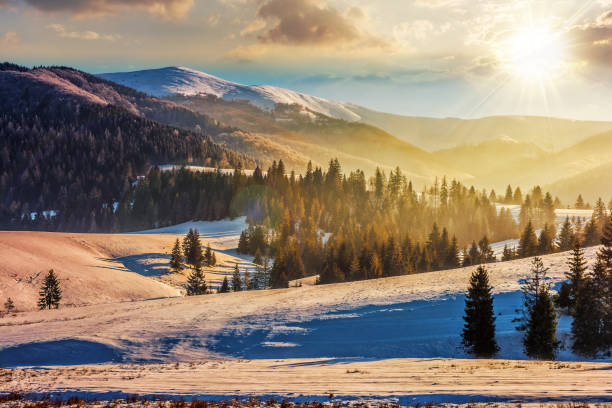 istock spruce forest on a snow covered meadow in mountains on a sunny winter at sunset 1750489094