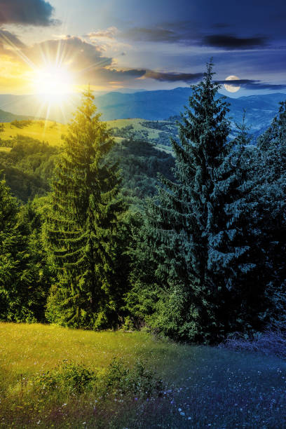 istock slope of mountain range with coniferous forest with sun and moon at twilight 1750489634