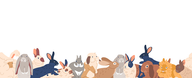 Charming Seamless Pattern Featuring Various Rabbit Breeds, Showcasing Their Unique Fur Colors And Characteristics In An Adorable And Artistic Design. Cartoon Vector Horizontal Border, Wallpaper