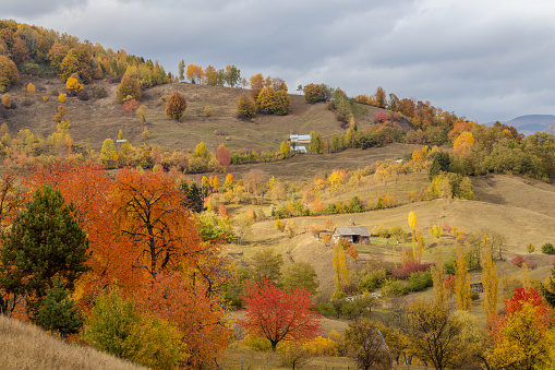 Beautiful autumn landscape in Transilvania, Romania