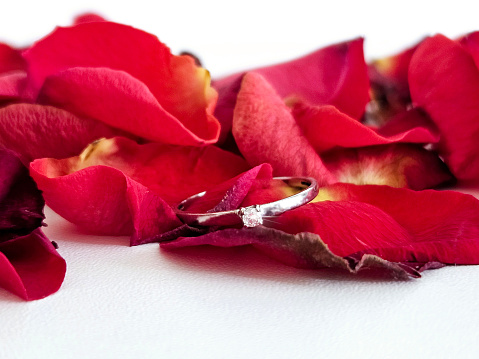 Wedding ring in roses. Proposal ring. An offer of marriage. A beautiful diamond ring lies in rose petals.