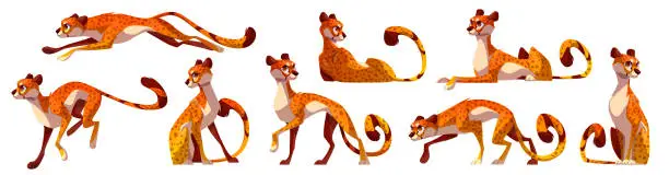 Vector illustration of Cartoon zoo cheetah jumping and running vector set