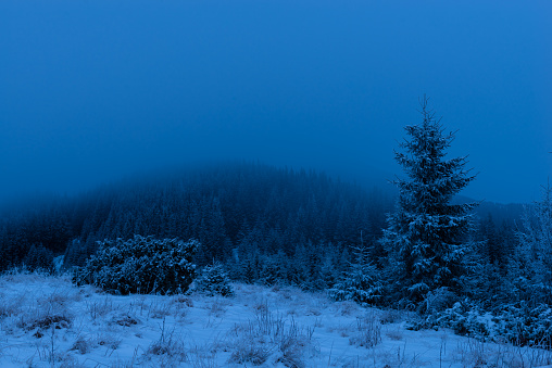 Winter landscape in a very wild place near Stayky mountain, Chornohora mountain range of Carpathian Mountains, Ukraine
