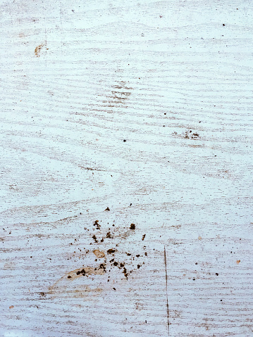 Dirty white wood texture background