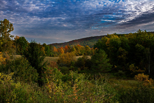 istock Country view in Autumn 1750564898