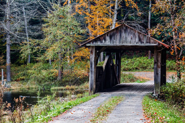 istock Wooden bridge in Autumn 1750565965