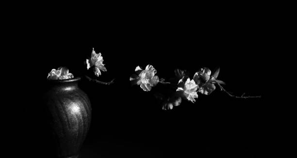 istock black and white  artificial flowers in a vase on a black background 1750589238