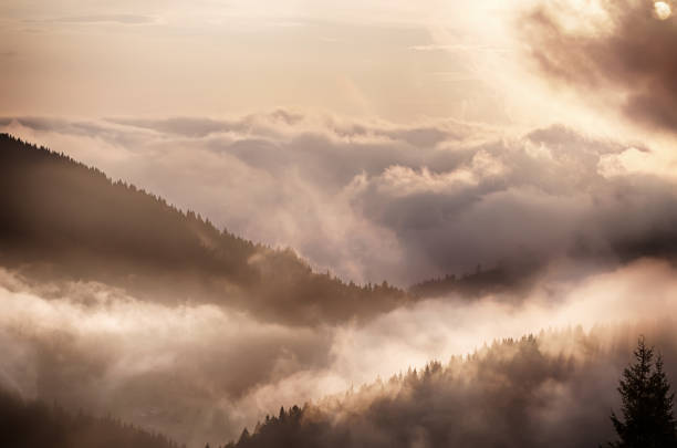 istock Foggy morning landscape 1750604709