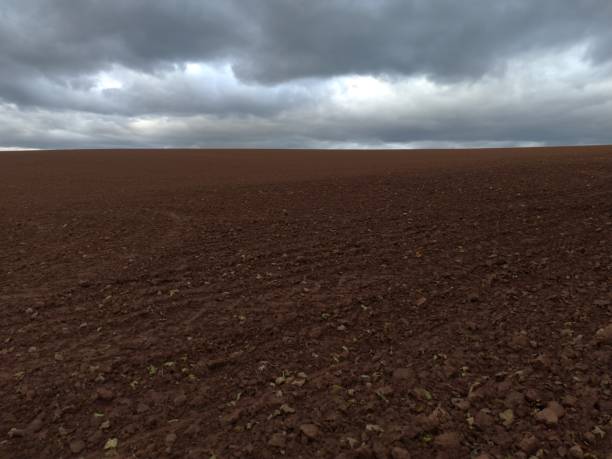 istock Cultivated farmland under the rain clouds 1750609832