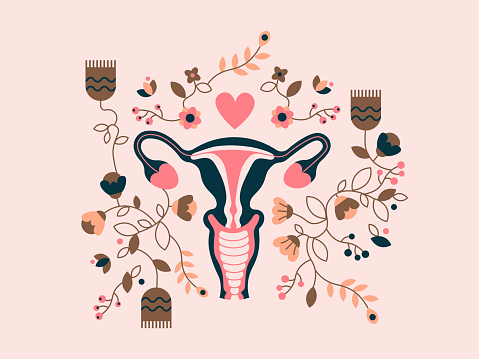 Vector Illustration of uterus with flowers isolated on background. The birds and bees concept.