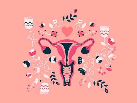 Vector Illustration of uterus with flowers isolated on background. The birds and bees concept.