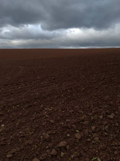 istock Cultivated farmland under the rain clouds 1750642665