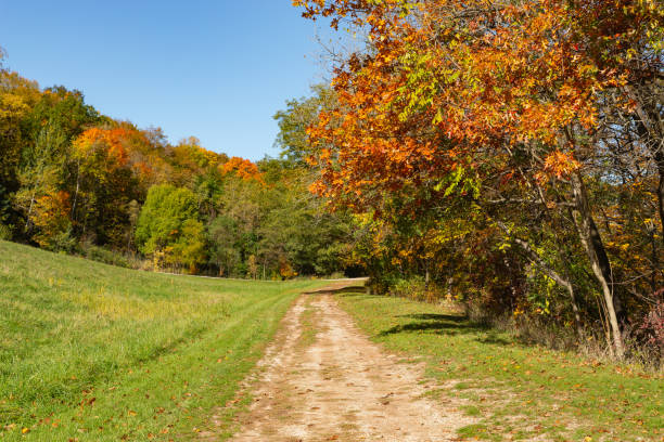 istock Rural country road. 1750651846