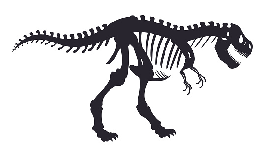 Dinosaur fossil bones. Jurassic t-rex dino skeleton silhouette, archaeological tyrannosaurus fossil flat vector illustration. Ancient raptor skeleton