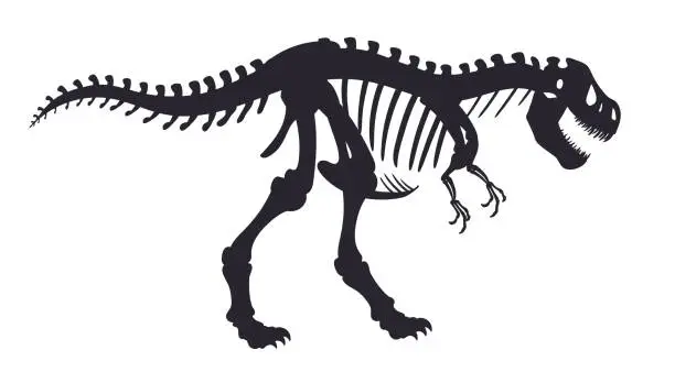 Vector illustration of Dinosaur fossil bones. Jurassic t-rex dino skeleton silhouette, archaeological tyrannosaurus fossil flat vector illustration. Ancient raptor skeleton