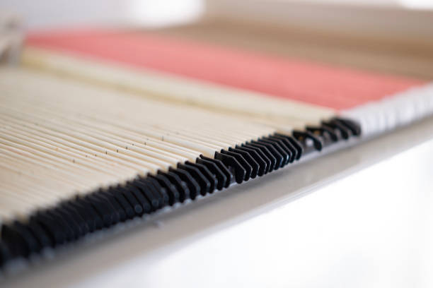 istock folders In Document Storage close-up, Home Archive, Record Keeping, Information Retrieval, File Organization, Document Indexing, Filing System, File Arrangement 1750677739