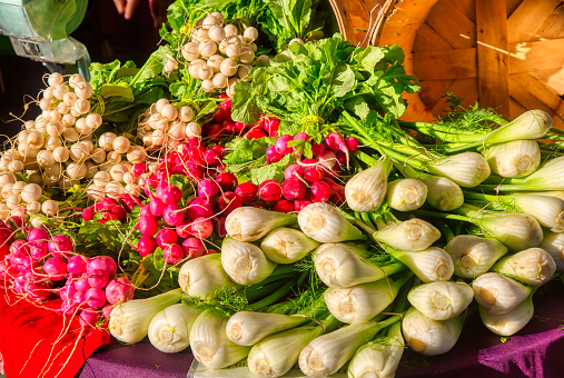 fennel radish and turnips at the farmer's market
