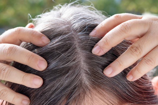 invecchiare con grazia e fiducia, donna dai capelli castani con lunghi capelli castani con capelli grigi, fronte femminile primo piano, le mani tengono ciocche di capelli, cura e toelettatura dei capelli per donne mature - white hair foto e immagini stock