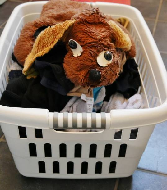 istock stuffed dog in the laundry 1750689704