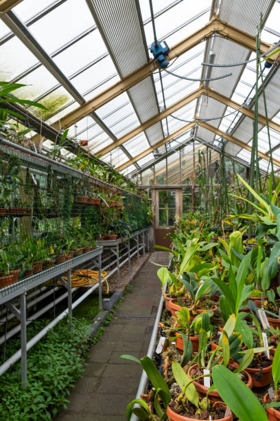 istock Tropical bushes and trees in the botanical garden. 1750764701