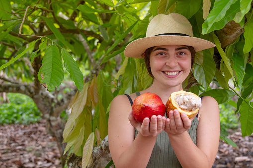 Cacao Cocoa Trip Experience: A young female european tourist picking up colorful cocoa pods in a cacao plantation in Latin America. The young tourists living a local Chocolate Experience.