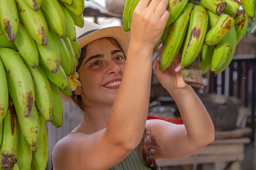 Banana Trip Experience: A young female european tourist picking up colorful green plantain in a organic farm in Latin America. The young tourists living a local farm experience. She's wearing a Panama Hat, originally made in Ecuador.