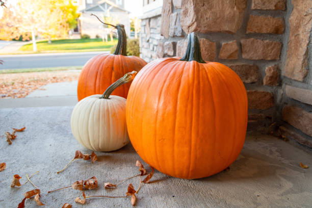 Fall pumpkin decorations on the front porch