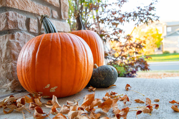 istock Pumpkin decorations on the front porch 1750786281