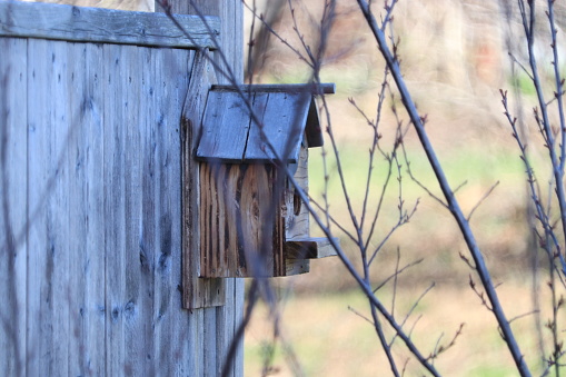 Wooden handcrafted birdhouse mounted to wooden fence
