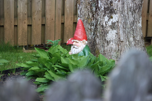 View of garden gnome on neighboring property through fence
